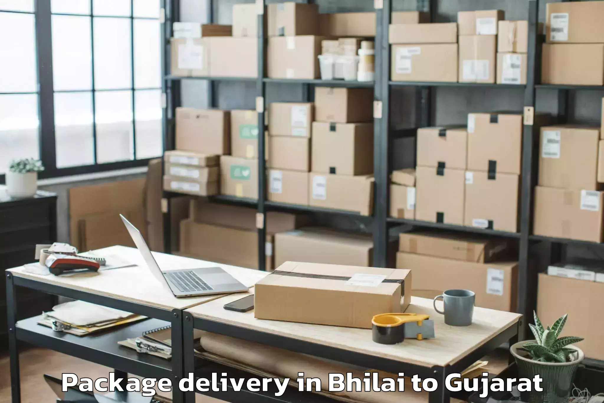 Easy Bhilai to Hazira Port Package Delivery Booking